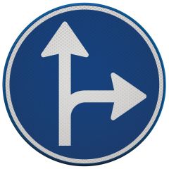 Verkeersbord | Model D06R | DOR | Ø60 cm
