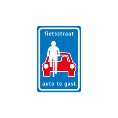 Verkeersbord a/r3/dor 40x60 cm model: L51